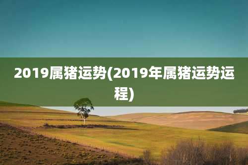 2019属猪运势(2019年属猪运势运程)