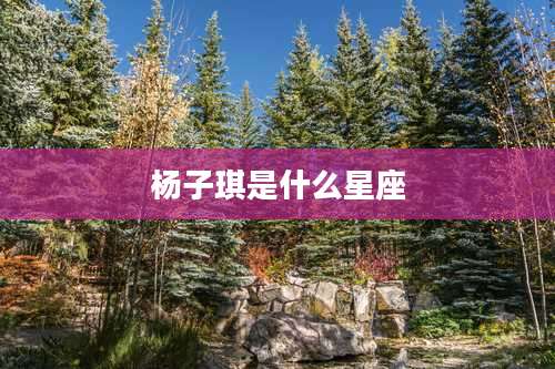 杨子琪是什么星座