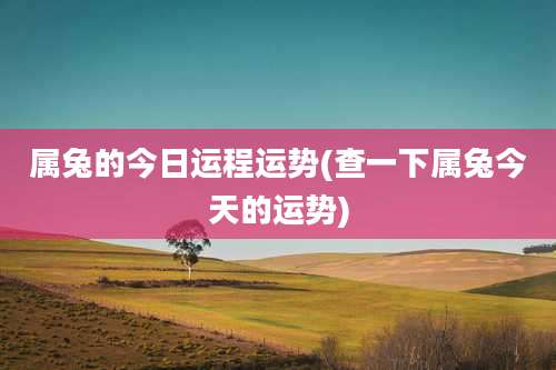 属兔的今日运程运势(查一下属兔今天的运势)