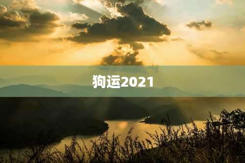 狗运2021