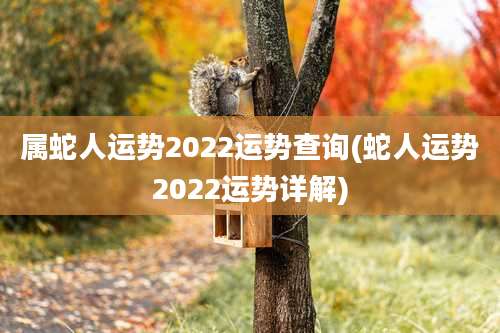 属蛇人运势2022运势查询(蛇人运势2022运势详解)