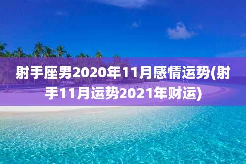 射手座男2020年11月感情运势(射手11月运势2021年财运)