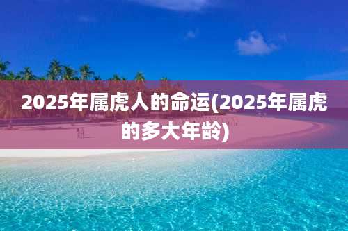 2025年属虎人的命运(2025年属虎的多大年龄)