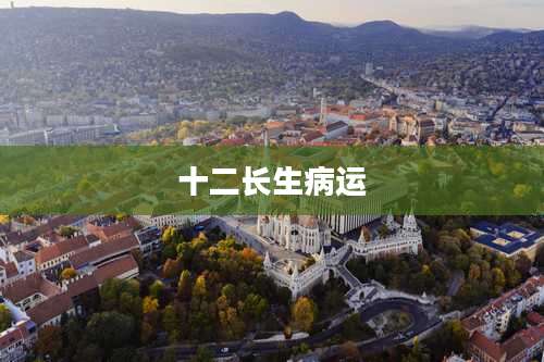 十二长生病运