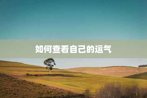 如何查看自己的运气
