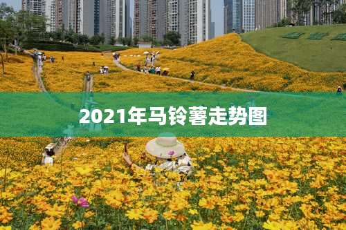 2021年马铃薯走势图