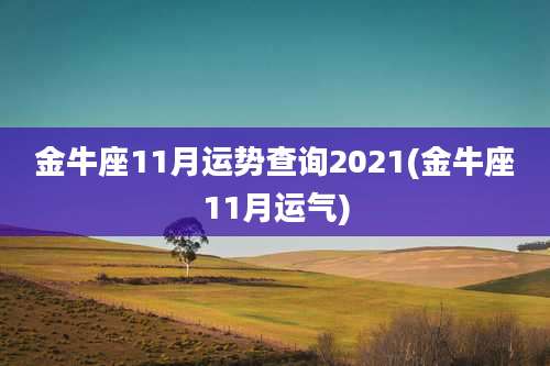 金牛座11月运势查询2021(金牛座11月运气)