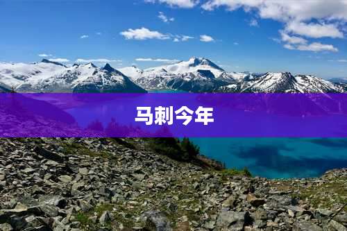 马刺今年