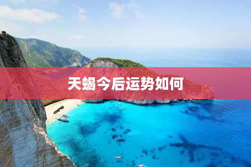 天蝎今后运势如何