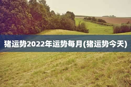 猪运势2022年运势每月(猪运势今天)