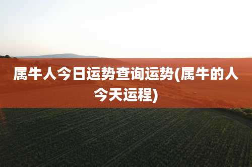 属牛人今日运势查询运势(属牛的人今天运程)