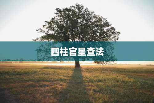 四柱官星查法