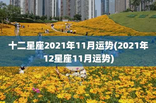 十二星座2021年11月运势(2021年12星座11月运势)