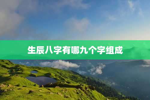 生辰八字有哪九个字组成