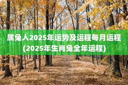 属兔人2025年运势及运程每月运程(2025年生肖兔全年运程)