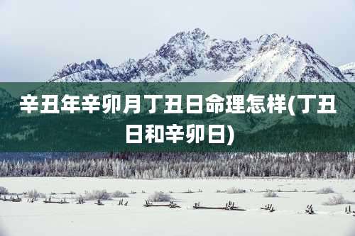 辛丑年辛卯月丁丑日命理怎样(丁丑日和辛卯日)