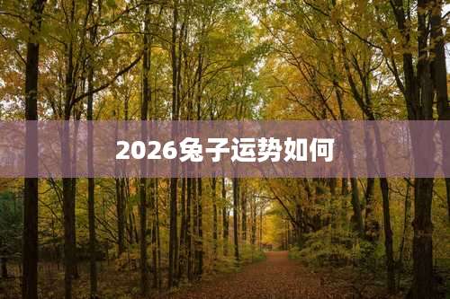 2026兔子运势如何