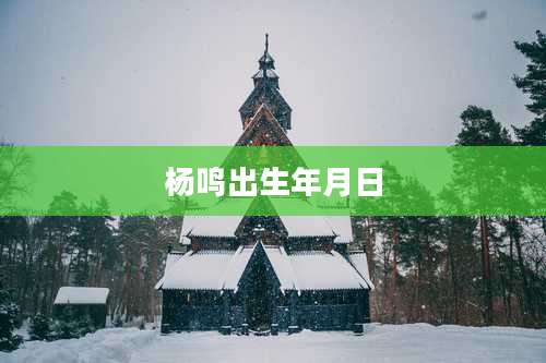 杨鸣出生年月日