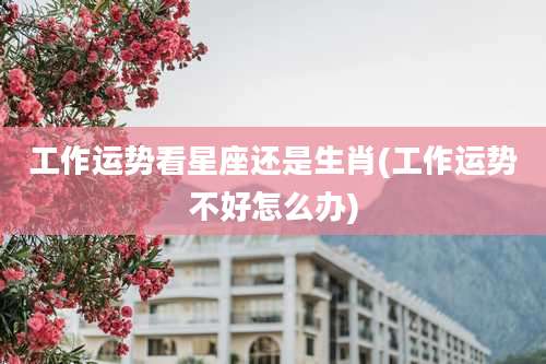 工作运势看星座还是生肖(工作运势不好怎么办)