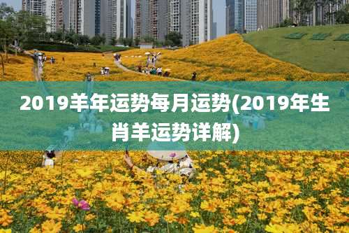 2019羊年运势每月运势(2019年生肖羊运势详解)