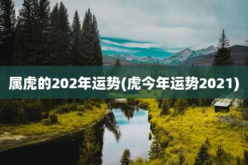 属虎的202年运势(虎今年运势2021)