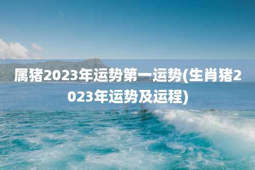 属猪2023年运势第一运势(生肖猪2023年运势及运程)