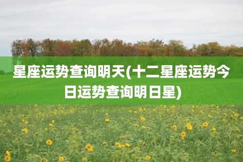 星座运势查询明天(十二星座运势今日运势查询明日星)