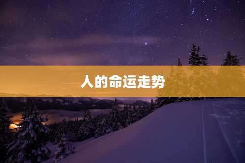 人的命运走势