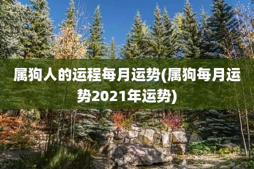 属狗人的运程每月运势(属狗每月运势2021年运势)