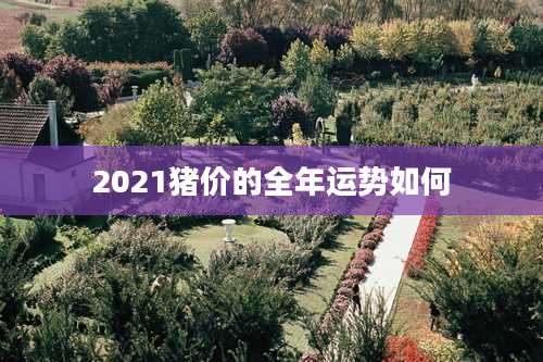 2021猪价的全年运势如何