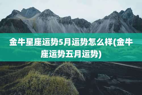 金牛星座运势5月运势怎么样(金牛座运势五月运势)
