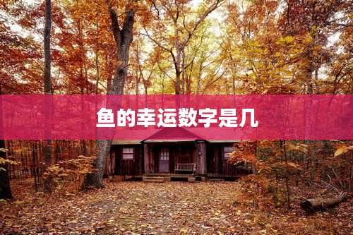 鱼的幸运数字是几