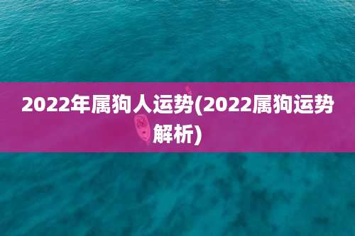 2022年属狗人运势(2022属狗运势解析)