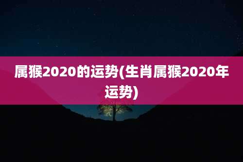 属猴2020的运势(生肖属猴2020年运势)
