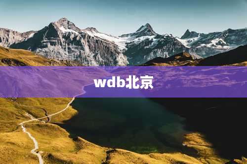 wdb北京