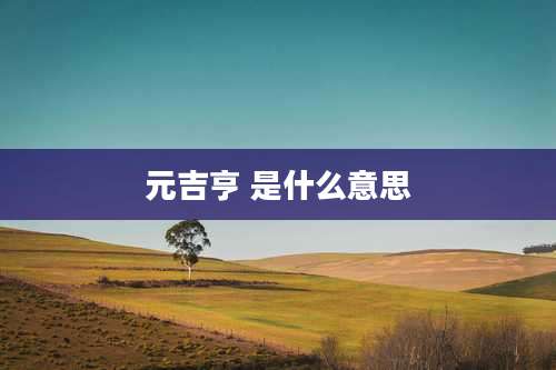 元吉亨 是什么意思