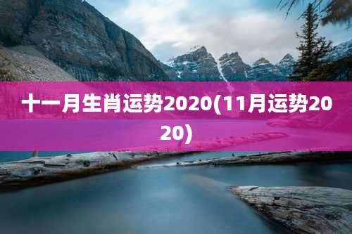 十一月生肖运势2020(11月运势2020)