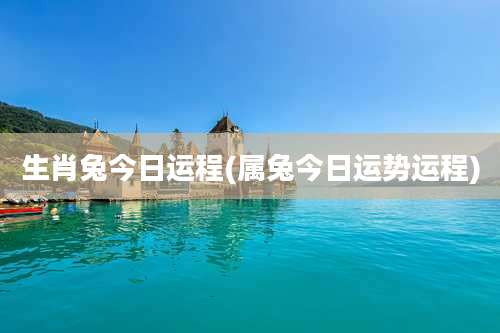 生肖兔今日运程(属兔今日运势运程)