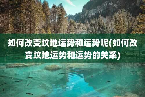 如何改变坟地运势和运势呢(如何改变坟地运势和运势的关系)