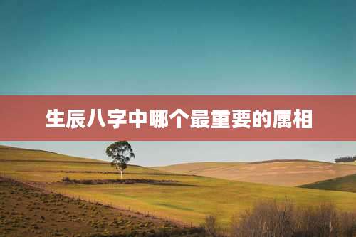 生辰八字中哪个最重要的属相