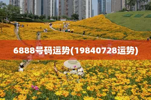 6888号码运势(19840728运势)