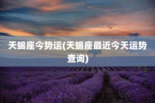 天蝎座今势运(天蝎座最近今天运势查询)