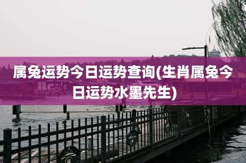 属兔运势今日运势查询(生肖属兔今日运势水墨先生)