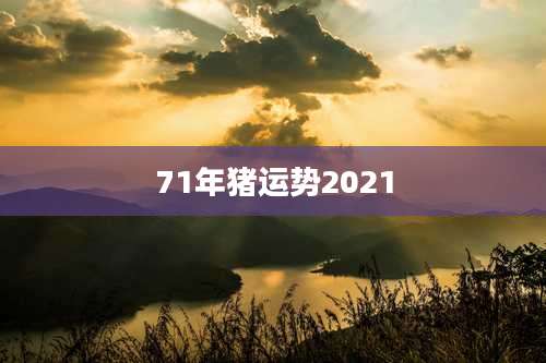 71年猪运势2021