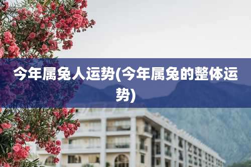 今年属兔人运势(今年属兔的整体运势)