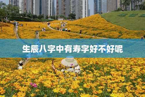 生辰八字中有寿字好不好呢