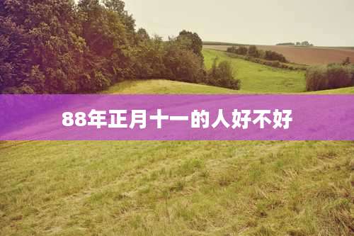 88年正月十一的人好不好