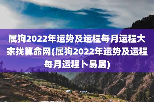 属狗2022年运势及运程每月运程大家找算命网(属狗2022年运势及运程每月运程卜易居)