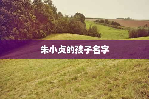 朱小贞的孩子名字