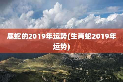 属蛇的2019年运势(生肖蛇2019年运势)